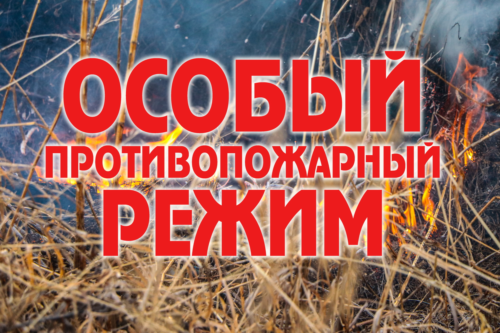 � ��������� ����� �� ���������� ���������-���������� ������ ���������� ����������� ���������� � ��������, ������� � ����������� �� ��� �����.      