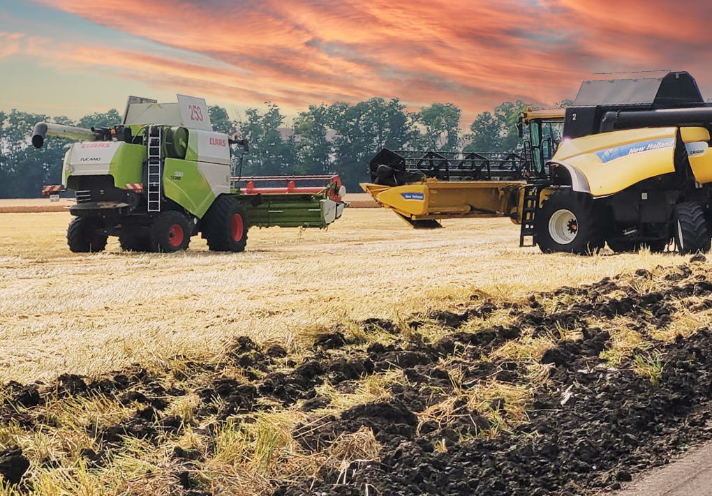 � ������ �������� ������ ������ �������