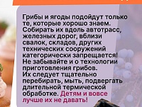 ������������ ����������� � ��������� ��������� ������ ����� �� 2024 ���