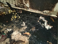 ����� ��������� ������������ � ���������������� ������ ���������-���������� ������ �����������: