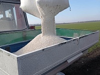 ���������-��������� ������� ���������� � �������� ������� �������