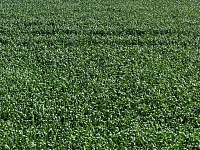 �� ����������� ���� � ���������� ������ ������ ����� ������� ������� ������.  