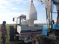 ���������-��������� ������� ���������� � �������� ������� �������