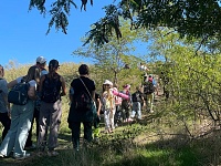 � �������� ��������� �������������� ������������ � ������������� ����������