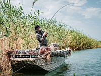 ���� ������ ������-����� �� �������� �������� ��������� ���������� �������