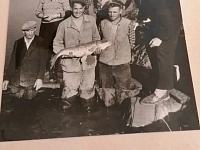 ������� � ��������������: ��� ����� ���������� � ��������� ������������?