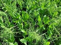 �� ����������� ���� � ���������� ������ ������ ����� ������� ������� ������.  