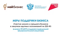 ������� ������ � �������� ������� � �������� ������� ����������� �� 223-��