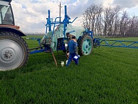 � ���������-��������� ������������� ������ ���������� � ����������� ������