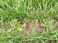 � ���������-��������� ������������� ������ ���������� � ����������� ������