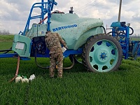 � ���������-��������� ������������� ������ ���������� � ����������� ������