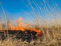 ��������� ���������� ������������� ��������� �������� � ���������� ��� �������� ������������