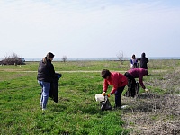 ��������� �� ����� ����������� ������������� � �������� ������� ������� � �������� ����������, ������� ������ ����� ������ �� �������� ������� ������