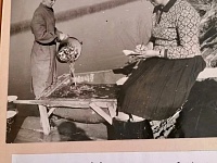 ������� � ��������������: ��� ����� ���������� � ��������� ������������?