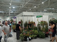 � ���������� ��������� ���� ������ ���������������� �������� ���������� ������� 2023�