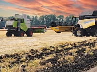 � ������ �������� ������ ������ �������