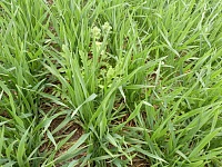 � ���������-��������� ������������� ������ ���������� � ����������� ������