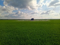 � ���������-��������� ������������� ������ ���������� � ����������� ������