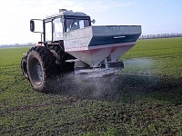 ���������-��������� ������� ���������� � �������� ������� �������