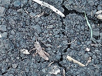 ������� ������ ����������� � ��������� ����