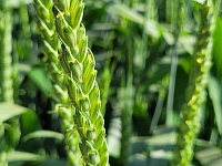 �� ����������� ���� � ���������� ������ ������ ����� ������� ������� ������.  