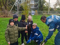 � ������ ��������� ����������� "���� ������"