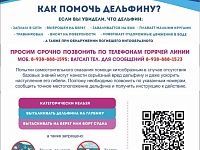 ��� ������ ��������?