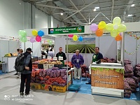 ������ ������ ���������������� �������� ���������� ������� - 2022�