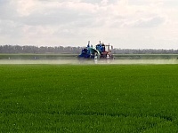 � ���������-��������� ������������� ������ ���������� � ����������� ������