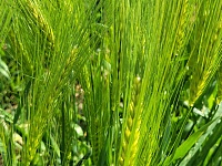 �� ����������� ���� � ���������� ������ ������ ����� ������� ������� ������.  