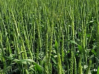 �� ����������� ���� � ���������� ������ ������ ����� ������� ������� ������.  