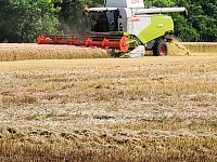 � ������ �������� ������ ������ �������