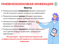 ������������ �������������� ��������