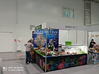 ������ ������ ���������������� �������� ���������� ������� - 2022�