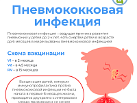 ������������ �������������� ��������