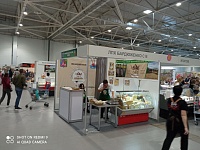 ������ ������ ���������������� �������� ���������� ������� - 2022�