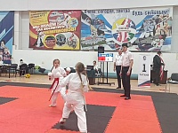 18-19 ������� � ������� ������� ���������� ���������, ���������� � ��������� �������������� ���� �� ���� ������ "����������� ������"