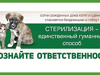 �� ���������� �������������� ����������� ���������-��������� ����� ���������� ����������� �� ������ �������� ��� ����������, ����� ������� �������� �������� ����������� �� ��������� �� ������, ����������� �������� � ������������ �������.