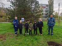 � ������ ��������� ����������� "���� ������"