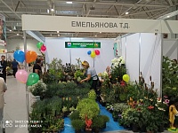 ������ ������ ���������������� �������� ���������� ������� - 2022�