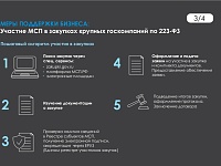 ������� ������ � �������� ������� � �������� ������� ����������� �� 223-��