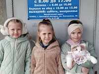 �������� � ��������