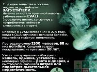 � 27 ��� �� 2���� 2024 �. �������� ������ ������ �� ������